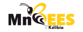 MnBees Kélibia